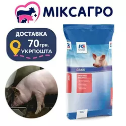 Фінішер для свиней Концентрат (БМВД) 10 % (від з 50 кг живої ваги) (25 кг) Коудайс Україна 3640.100 Баланс