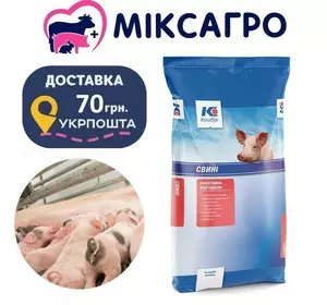 Концентрат БМВД 10% Супорос для свиноматок Комфорт (25 кг) Коудайс 3820.100